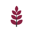 leaf icon