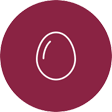 egg icon